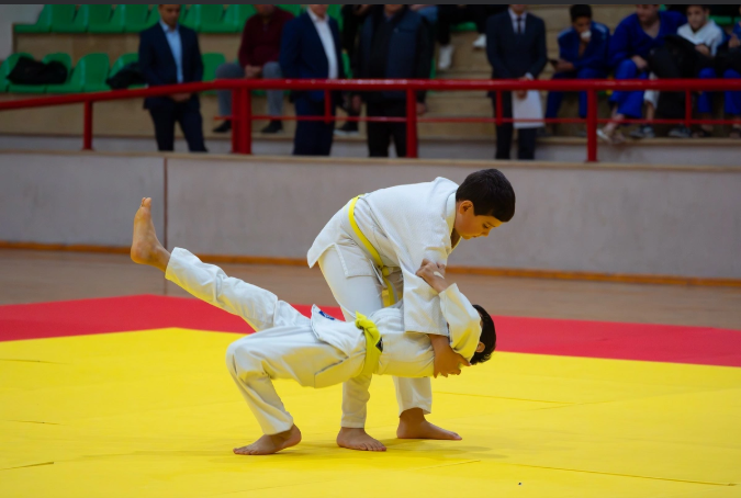 Naxçıvanda kəmər dərəcələri üzrə rəsmi imtahan keçirilib<font color=red> - FOTOLAR</font>