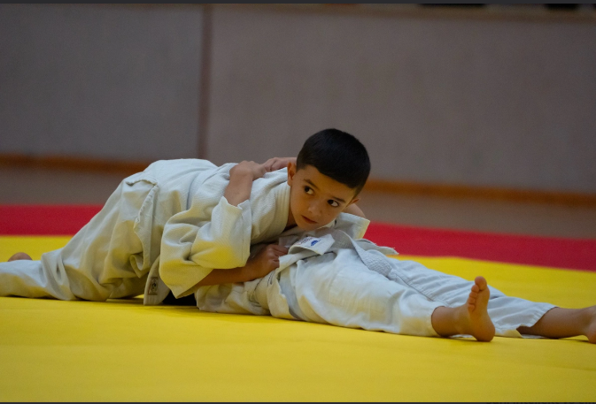 Naxçıvanda kəmər dərəcələri üzrə rəsmi imtahan keçirilib<font color=red> - FOTOLAR</font>