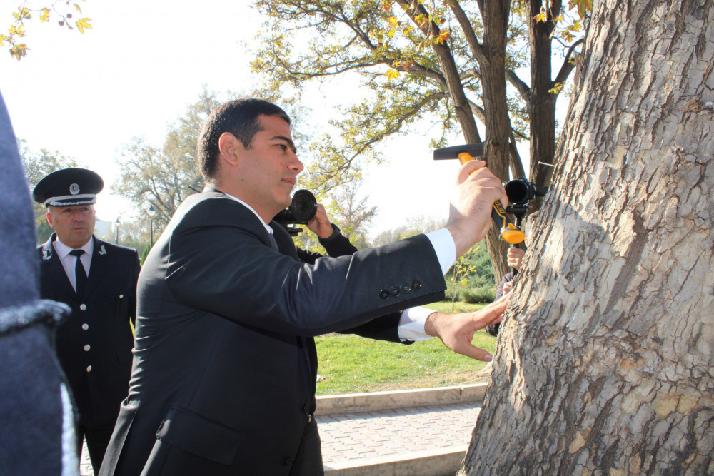 Naxçıvanda ağacların nömrələnməsinə başlanılıb <font color=red> - FOTOLAR</font>