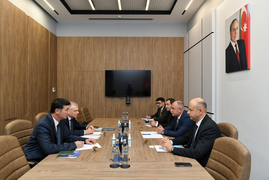 RİNN-də Beynəlxalq Əmək Təşkilatı ilə görüş keçirilib<font color=red> - FOTOLAR</font>