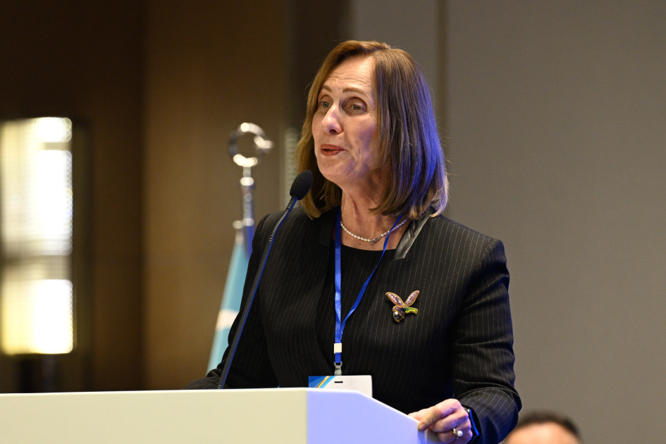 Bakıda TDT-yə üzv ölkələrin tibb bacısı və mamalıq sahələri üzrə I Beynəlxalq elmi-praktik konfransı keçirilib<font color=red> - FOTOLAR</font>