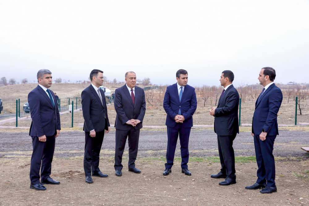 Naxçıvanda Ümummilli Lider Heydər Əliyevin xatirəsinə ağacəkmə aksiyası keçirilib <font color=red> - FOTOLAR</font>