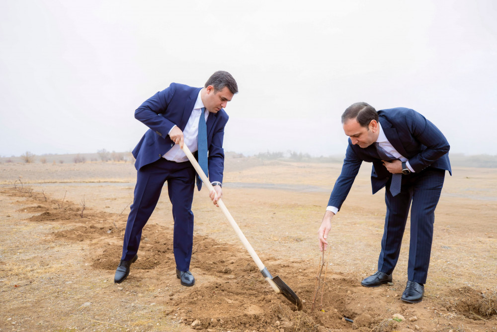 Naxçıvanda Ümummilli Lider Heydər Əliyevin xatirəsinə ağacəkmə aksiyası keçirilib <font color=red> - FOTOLAR</font>