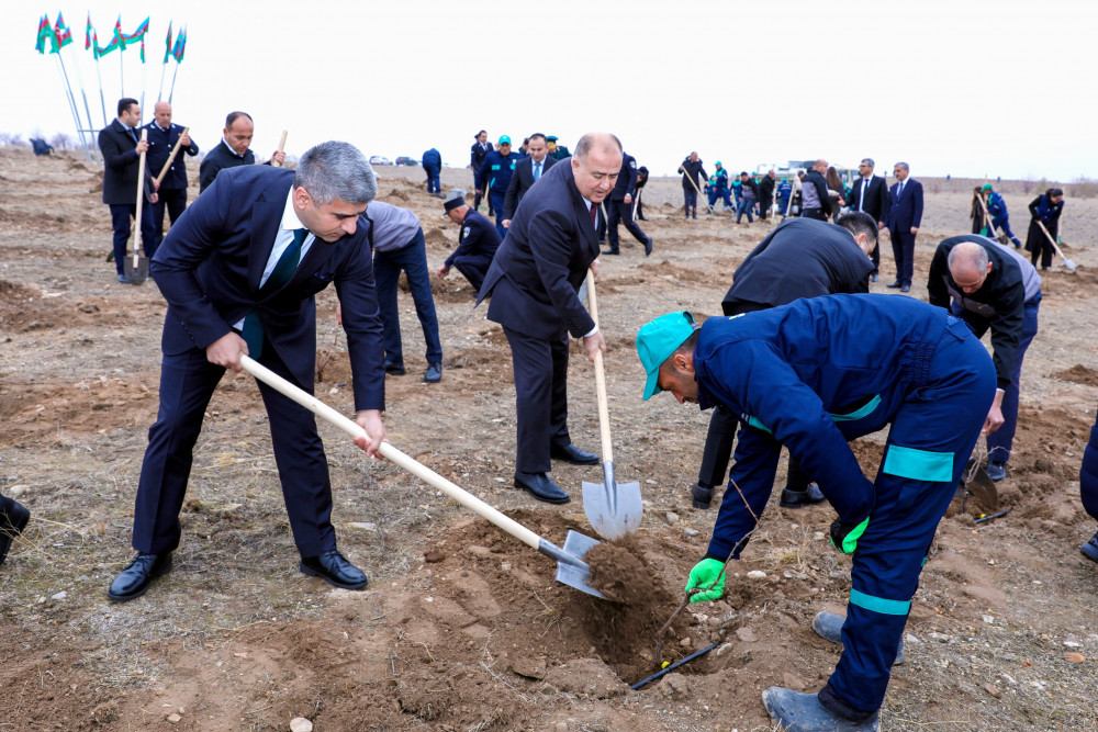 Naxçıvanda Ümummilli Lider Heydər Əliyevin xatirəsinə ağacəkmə aksiyası keçirilib <font color=red> - FOTOLAR</font>