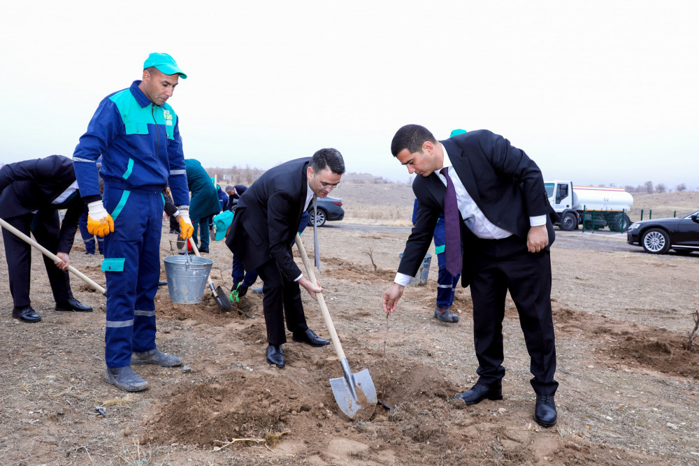 Naxçıvanda Ümummilli Lider Heydər Əliyevin xatirəsinə ağacəkmə aksiyası keçirilib <font color=red> - FOTOLAR</font>