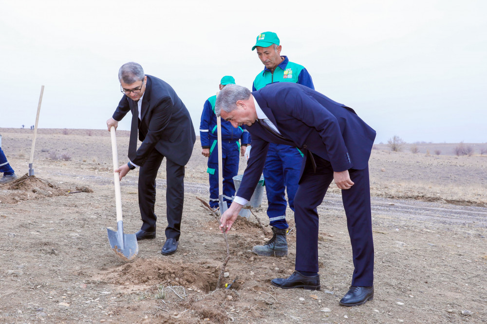 Naxçıvanda Ümummilli Lider Heydər Əliyevin xatirəsinə ağacəkmə aksiyası keçirilib <font color=red> - FOTOLAR</font>