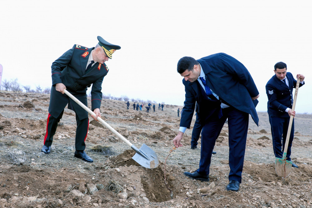 Naxçıvanda Ümummilli Lider Heydər Əliyevin xatirəsinə ağacəkmə aksiyası keçirilib <font color=red> - FOTOLAR</font>