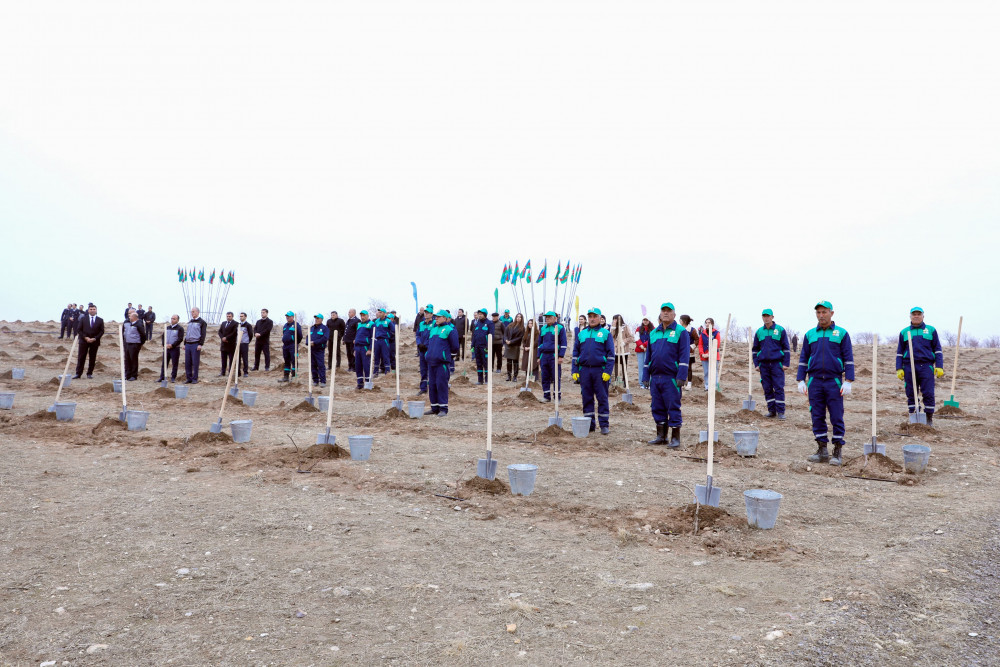 Naxçıvanda Ümummilli Lider Heydər Əliyevin xatirəsinə ağacəkmə aksiyası keçirilib <font color=red> - FOTOLAR</font>