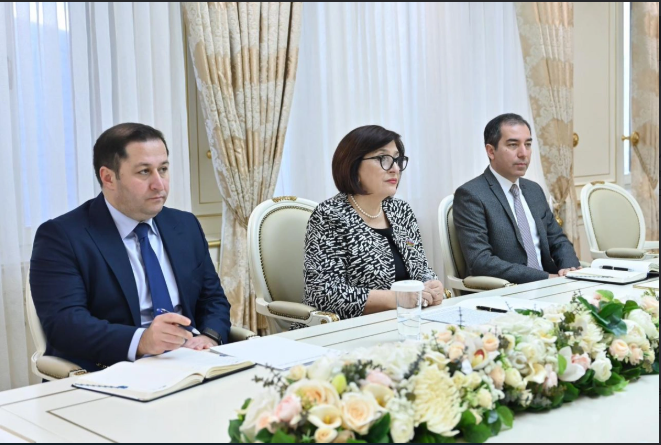 Sahibə Qafarova Aİ-nin Azərbaycandakı nümayəndəliyinin rəhbəri ilə görüşüb<font color=red> - FOTOLAR</font>