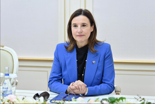 Sahibə Qafarova Aİ-nin Azərbaycandakı nümayəndəliyinin rəhbəri ilə görüşüb<font color=red> - FOTOLAR</font>