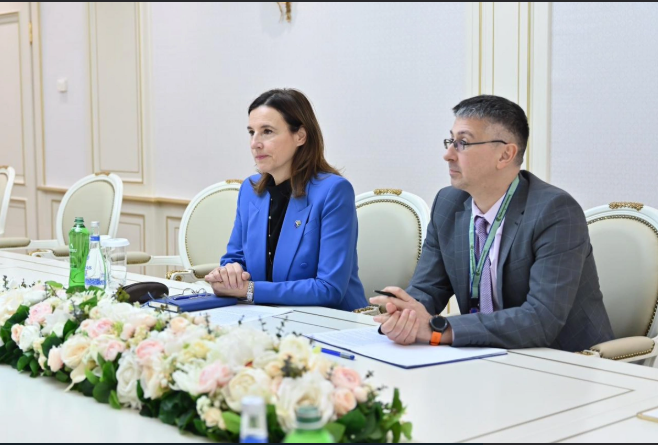 Sahibə Qafarova Aİ-nin Azərbaycandakı nümayəndəliyinin rəhbəri ilə görüşüb<font color=red> - FOTOLAR</font>