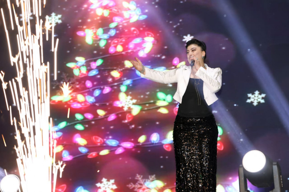 Naxçıvanda Dünya Azərbaycanlılarının Həmrəyliyi Günü və Yeni il münasibətilə möhtəşəm atəşfəşanlıq olub<font color='red'> - YENİLƏNİB</font><font color=red> - FOTOLAR</font>