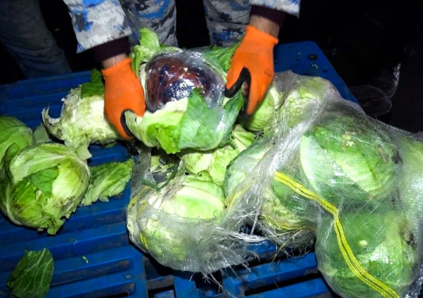 İrandan Gürcüstana külli miqdarda narkotikin keçirilməsinin qarşısı alınıb<font color=red> - FOTOLAR</font>