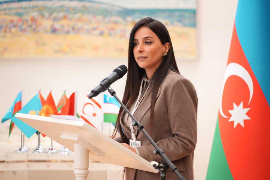 Vyanada TDT-yə üzv ölkələrin diaspor qurumlarının nümayəndələri bir araya gəlib<font color=red> - FOTOLAR</font>