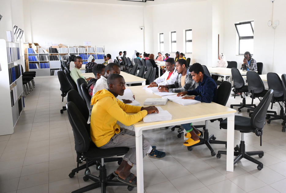 Leyla Əliyeva Əddis-Əbəbədə bir sıra sosial və mədəni obyektlərlə tanış olub<font color=red> - FOTOLAR</font>