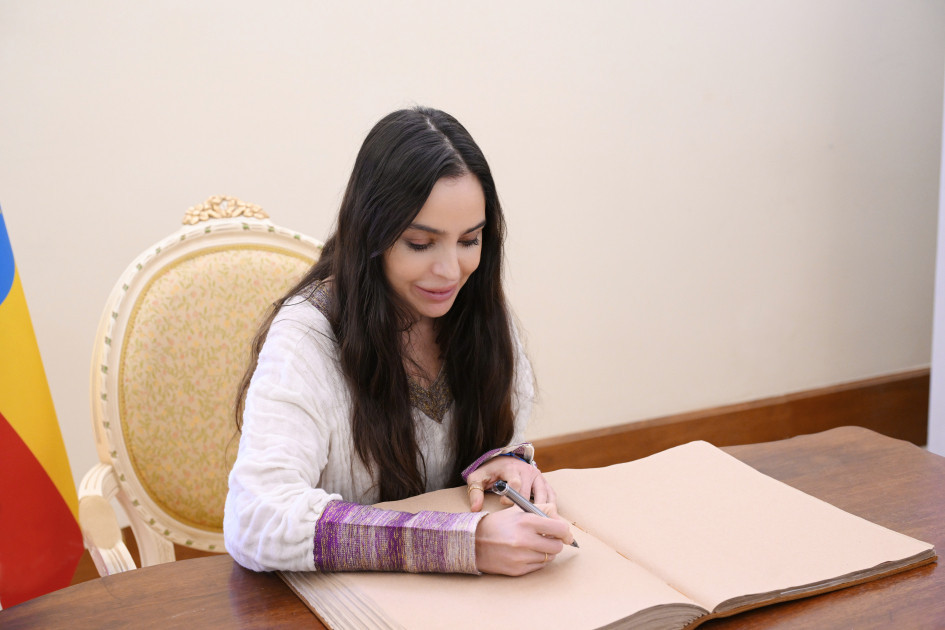 Leyla Əliyeva Əddis-Əbəbədə bir sıra sosial və mədəni obyektlərlə tanış olub<font color=red> - FOTOLAR</font>