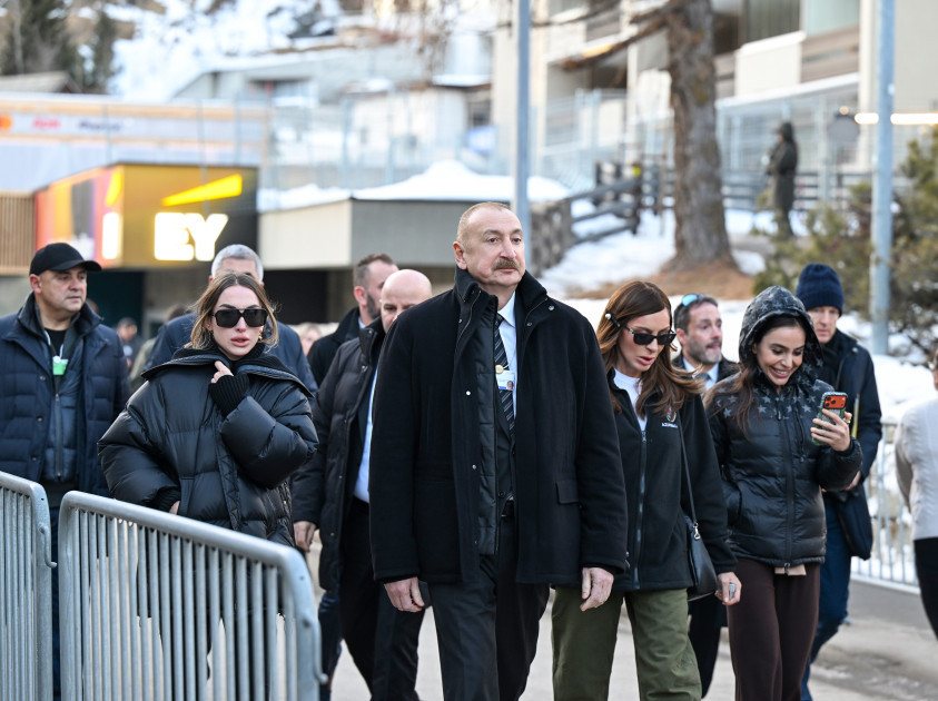 Prezident İlham Əliyev Ümumdünya İqtisadi Forumu çərçivəsində panel iclasda iştirak edib<font color=red> - FOTOLAR</font>