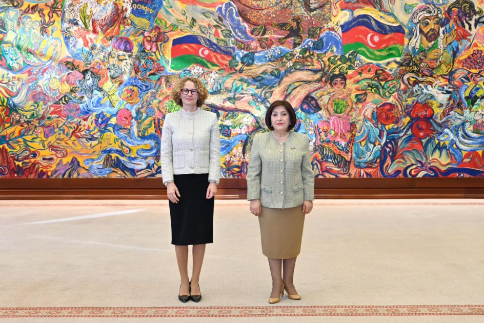 Milli Məclisin sədri NATO Baş katibinin müavini ilə görüşüb<font color=red> - FOTOLAR</font>