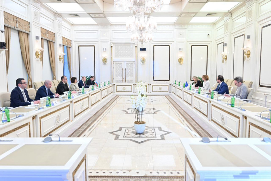 Milli Məclisin sədri NATO Baş katibinin müavini ilə görüşüb<font color=red> - FOTOLAR</font>