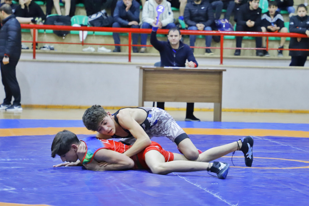 Sərbəst güləş birinciliyi başa çatıb <font color=red> - FOTOLAR</font>