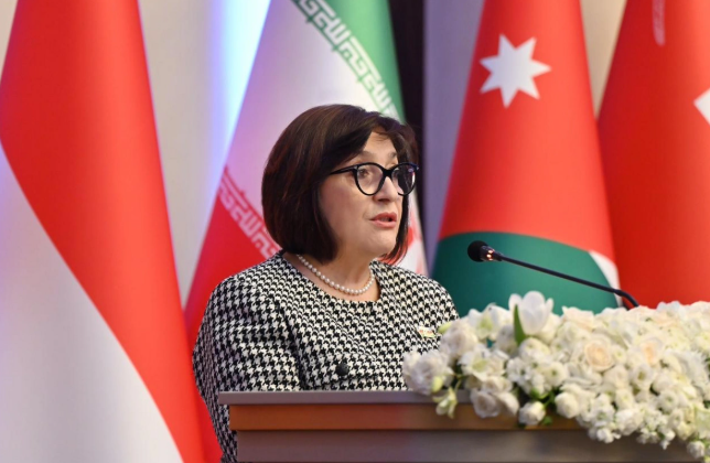 Sahibə Qafarova Asiya Parlament Assambleyasının 16-cı plenar sessiyasında çıxış edib<font color=red> - FOTOLAR</font>