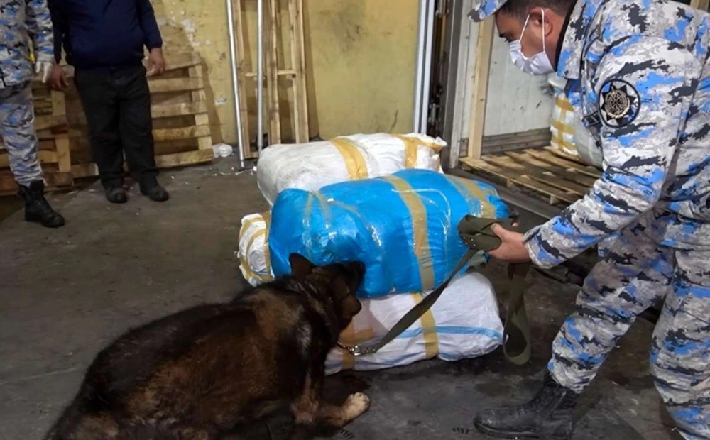 Azərbaycan gömrükçüləri narkotik vasitənin "göyərti" yükündə ölkəyə keçirilməsinin qarşısını alıb<font color=red> - FOTOLAR</font>