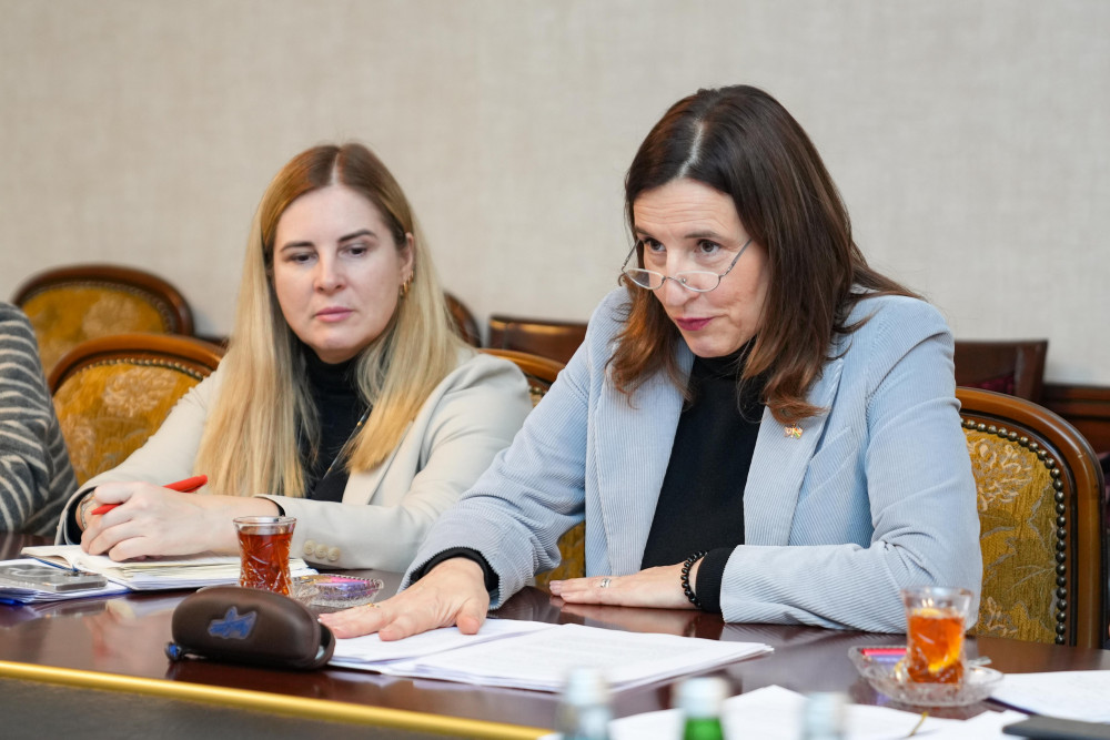 Naxçıvan Muxtar Respublikasında Azərbaycan Respublikası Prezidentinin səlahiyyətli nümayəndəsi Ceyhun Cəlilov Avropa İttifaqının Azərbaycan Respublikasındakı səfiri Mariyana Kuyundziçin rəhbərlik etdiyi nümayəndə heyəti ilə görüşüb<font color=red> - FOTOLAR</font>