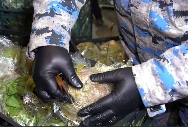 DGK 80 kiloqrama yaxın narkotikin İrandan Rusiyaya tranzitinin qarşısını alıb<font color=red> - FOTOLAR</font>