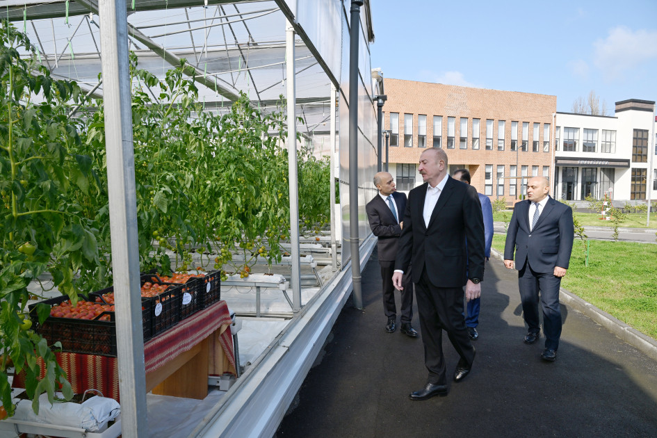 Prezident İlham Əliyev Lənkəran Dövlət Peşə Təhsil Mərkəzinin açılışında iştirak edib<font color=red> - FOTOLAR</font>