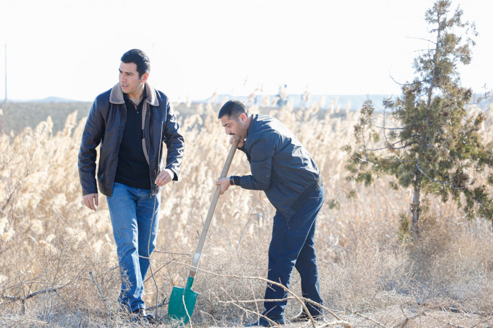 Naxçıvanda ağacəkmə və təmizlik aksiyaları keçirilib<font color=red> - FOTOLAR</font>