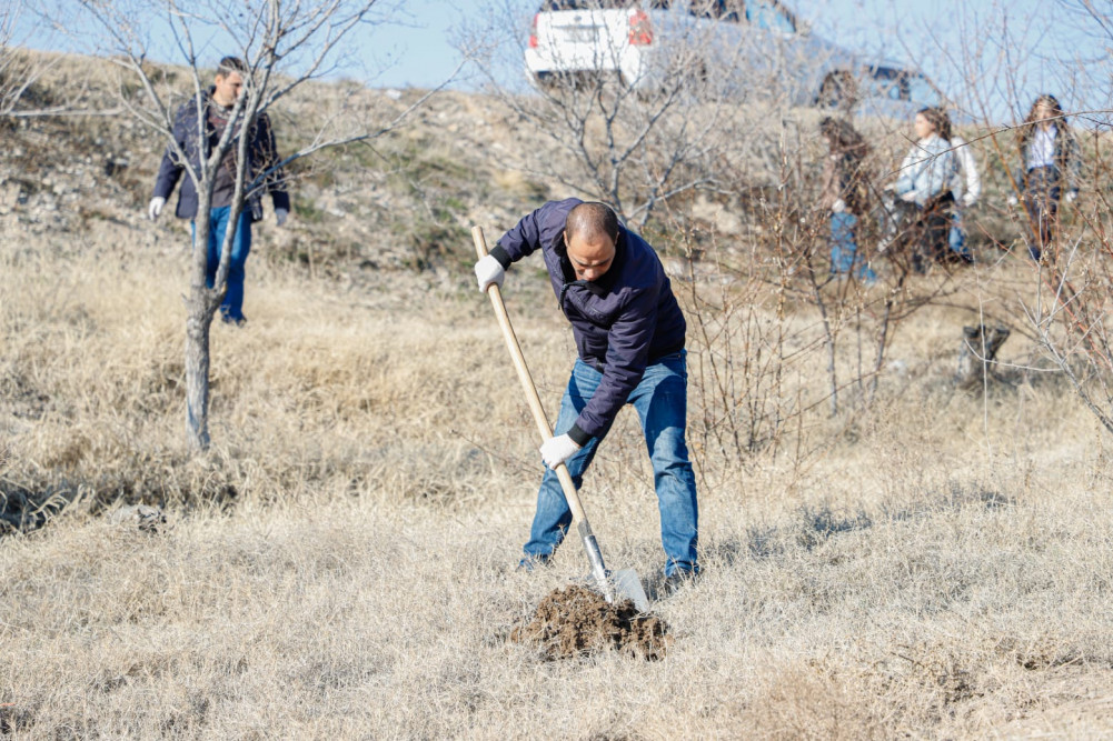 Naxçıvanda ağacəkmə və təmizlik aksiyaları keçirilib<font color=red> - FOTOLAR</font>