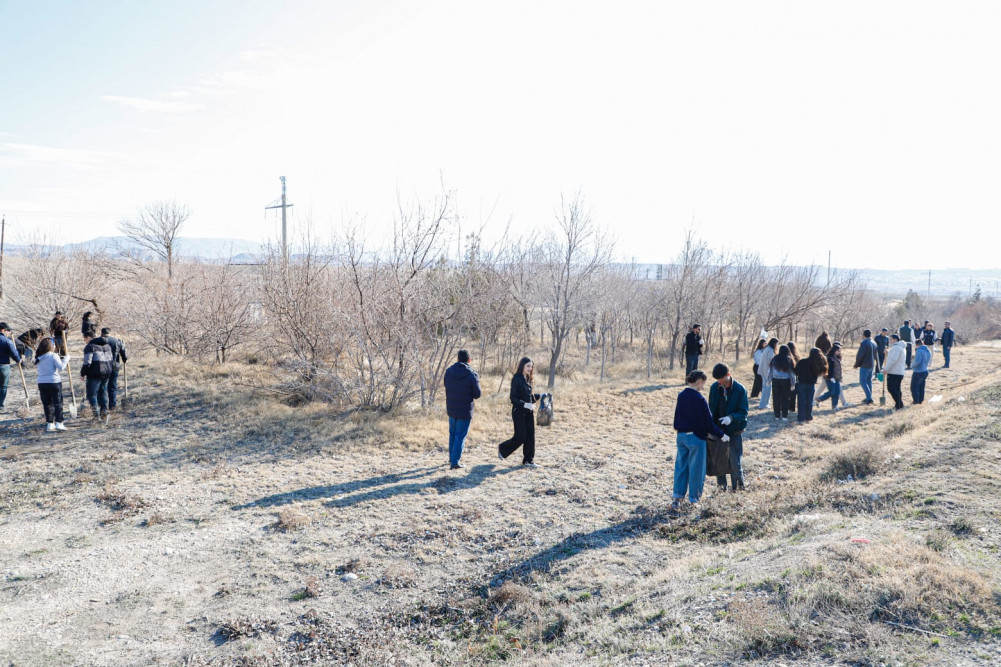 Naxçıvanda ağacəkmə və təmizlik aksiyaları keçirilib<font color=red> - FOTOLAR</font>