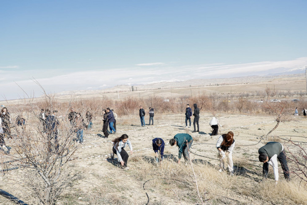 Naxçıvanda ağacəkmə və təmizlik aksiyaları keçirilib<font color=red> - FOTOLAR</font>