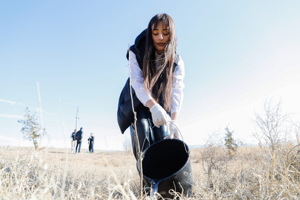 Naxçıvanda ağacəkmə və təmizlik aksiyaları keçirilib<font color=red> - FOTOLAR</font>