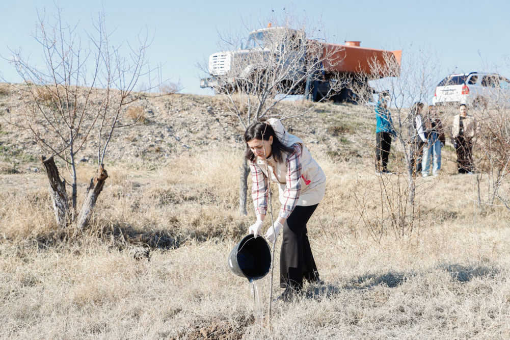 Naxçıvanda ağacəkmə və təmizlik aksiyaları keçirilib<font color=red> - FOTOLAR</font>