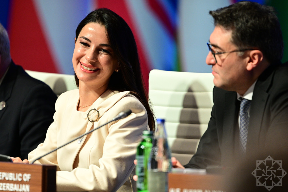 Cənub Qaz Dəhlizi Məşvərət Şurası nazirlərin 12-ci iclası və Yaşıl Enerji Məşvərət Şurası nazirlərin 4-cü iclası plenar sessiyalarla davam edib<font color=red> - FOTOLAR</font>