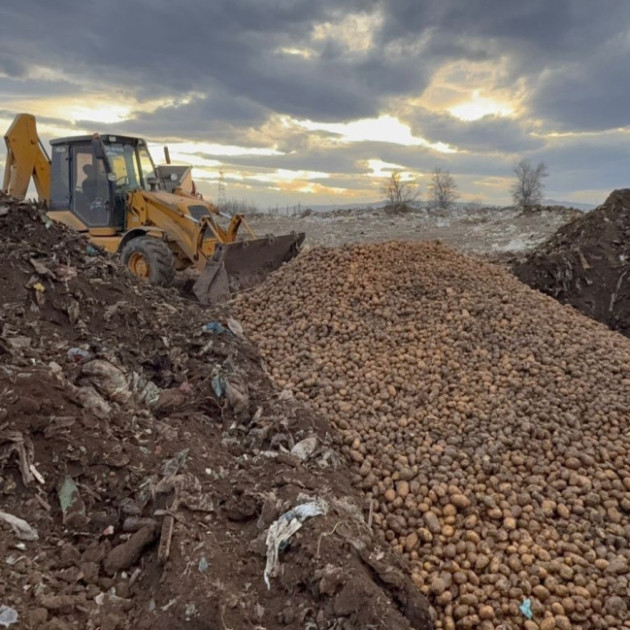 Gürcüstandan və Türkiyədən idxal olunan toxumluq kartof məhv edilib<font color=red> - FOTOLAR</font>