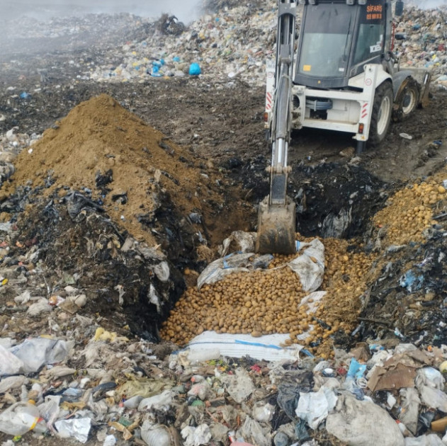 Gürcüstandan və Türkiyədən idxal olunan toxumluq kartof məhv edilib<font color=red> - FOTOLAR</font>