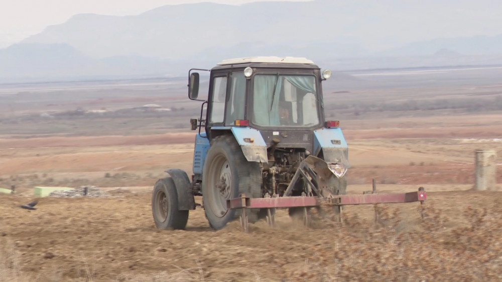 Naxçıvanda 1128 hektar ərazidə yazlıq əkinlər aparılıb<font color=red> - FOTOLAR</font>