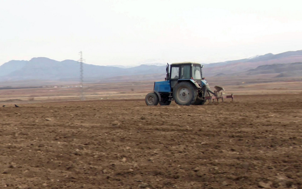 Naxçıvanda 1128 hektar ərazidə yazlıq əkinlər aparılıb<font color=red> - FOTOLAR</font>