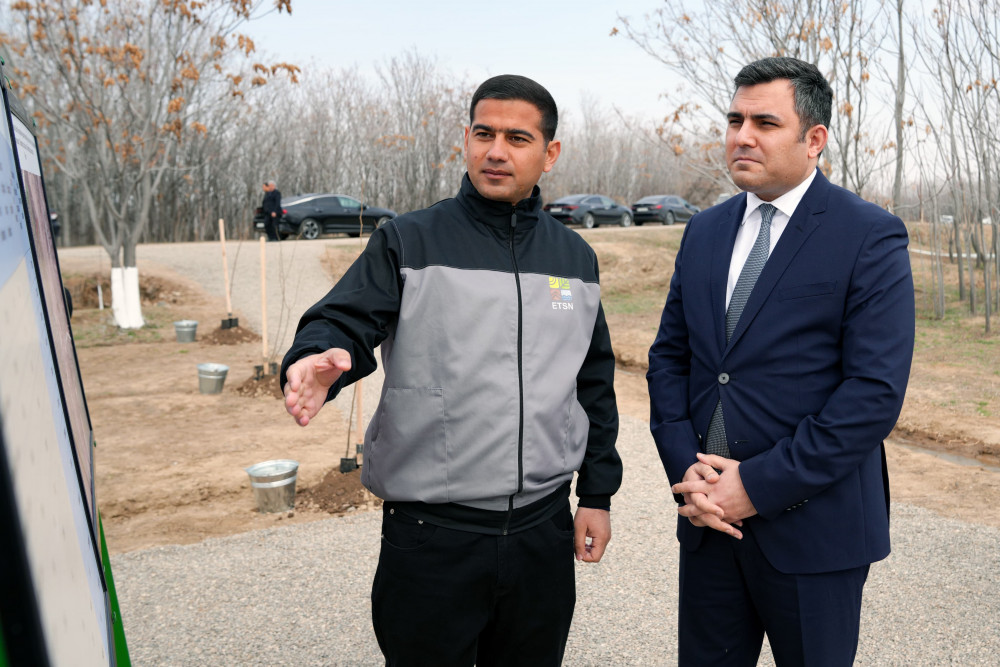 Naxçıvanda “Şəhərsalma və Memarlıq İli” çərçivəsində ağacəkmə aksiyası keçirilib<font color=red> - FOTOLAR</font>