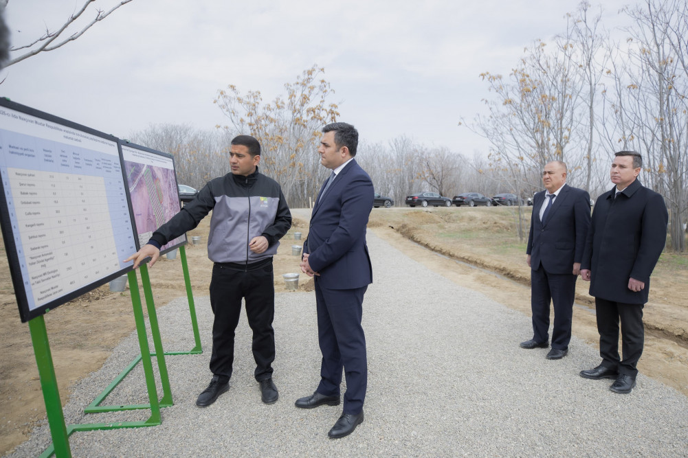 Naxçıvanda “Şəhərsalma və Memarlıq İli” çərçivəsində ağacəkmə aksiyası keçirilib<font color=red> - FOTOLAR</font>