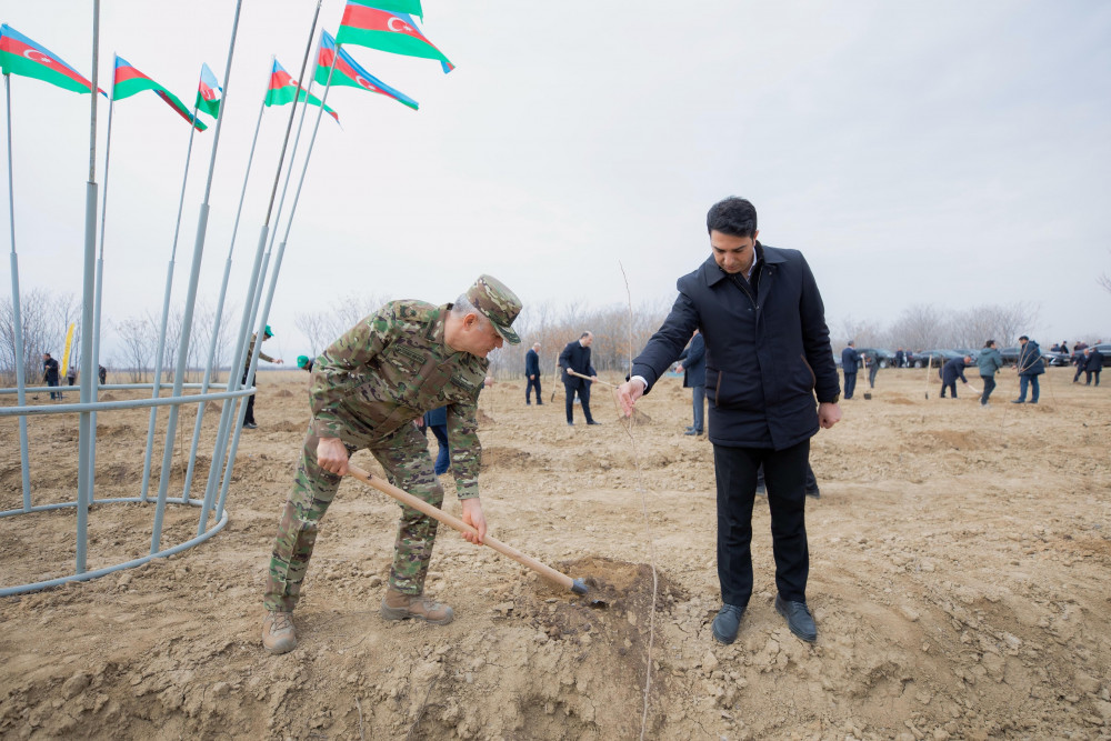 Naxçıvanda “Şəhərsalma və Memarlıq İli” çərçivəsində ağacəkmə aksiyası keçirilib<font color=red> - FOTOLAR</font>