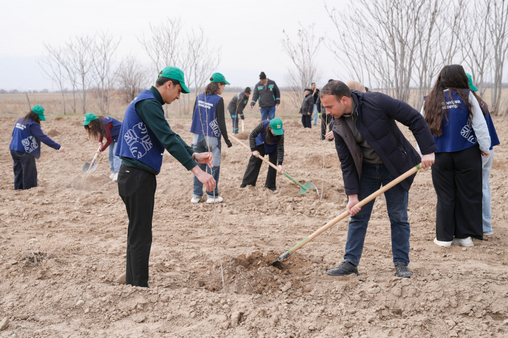 Naxçıvanda “Şəhərsalma və Memarlıq İli” çərçivəsində ağacəkmə aksiyası keçirilib<font color=red> - FOTOLAR</font>