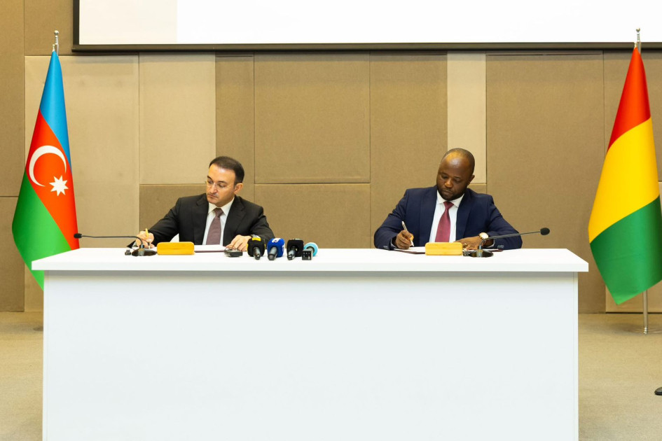 “ASAN xidmət” Qvineyada tətbiq ediləcək<font color=red> - FOTOLAR</font>