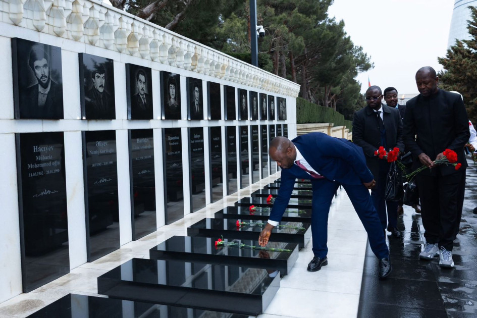 “ASAN xidmət” Qvineyada tətbiq ediləcək<font color=red> - FOTOLAR</font>