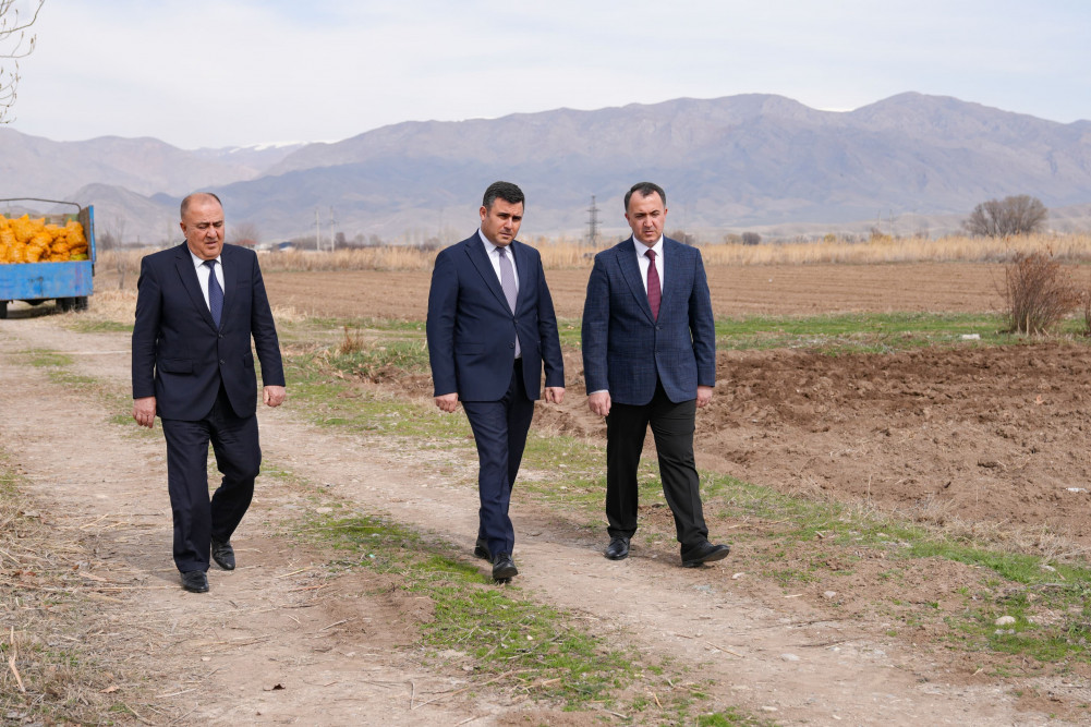 Səlahiyyətli nümayəndə Ceyhun Cəlilov Şərurda torpaq mülkiyyətçiləri ilə görüşüb, kartof əkini ilə tanış olub<font color=red> - FOTOLAR</font>