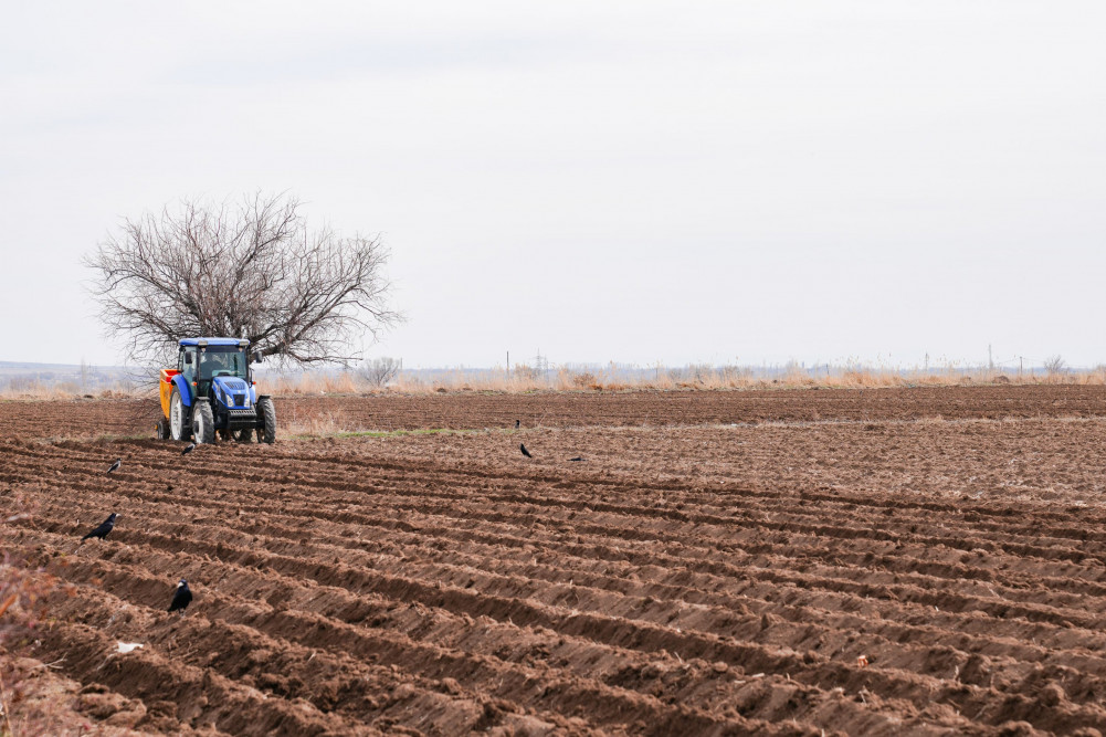 Səlahiyyətli nümayəndə Ceyhun Cəlilov Şərurda torpaq mülkiyyətçiləri ilə görüşüb, kartof əkini ilə tanış olub<font color=red> - FOTOLAR</font>