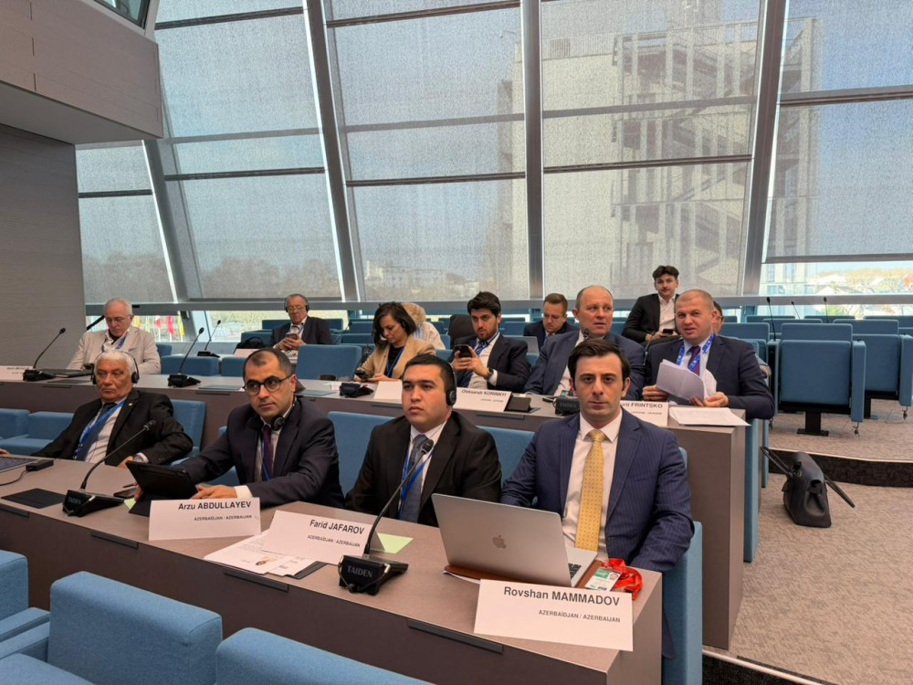 Ali Məclis Strasburqda Avropa Şurasının Yerli və Regional Hakimiyyətlər Konqresinin 50-ci sessiyasında təmsil olunur<font color=red> - FOTOLAR</font>