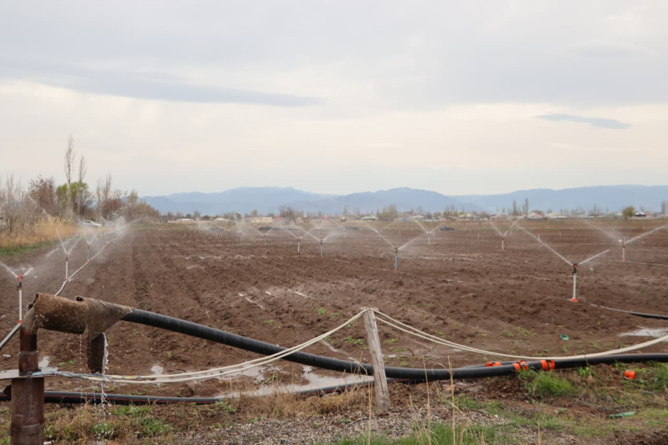 Nazir Məcnun Məmmədov Naxçıvanda təsərrüfatlara baş çəkib, su obyektlərinin vəziyyəti ilə tanış olub<font color=red> - FOTOLAR</font>